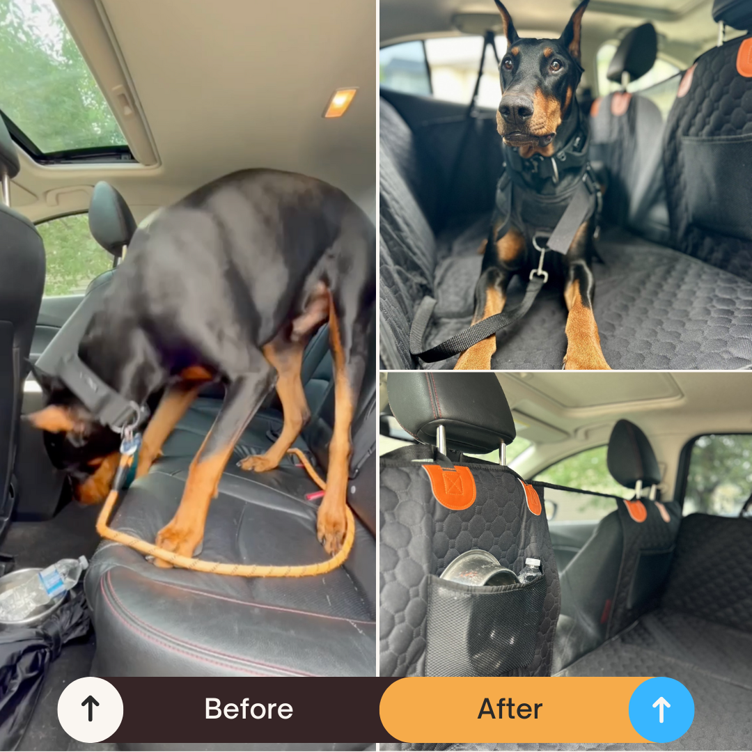 PawGuard Car Seat Dog Hammock | Protect Your Seats & Keep Your Dog Safe - With Safety Belt Included